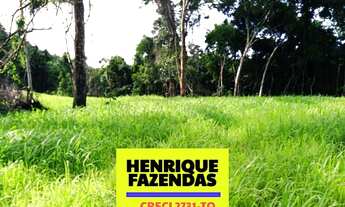 Imagem 7: Fazenda Porto Nacional no Tocantins