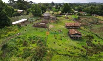 Imagem 7: Chácara à venda, 8 Alqueires por R$ 1.900.000,00 - Centro - Turvo/PR