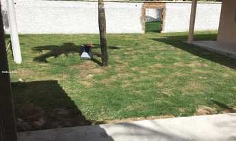 Imagem 6: Casa para Venda em Saquarema, Barra Nova, 2 dormitórios, 1 suíte, 2 banheiros, 4 vagas