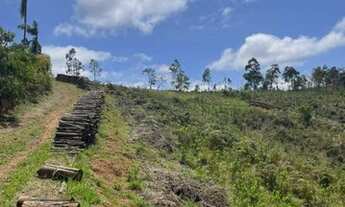 Imagem 4: Terrenos em Mairiporã mato dentro
