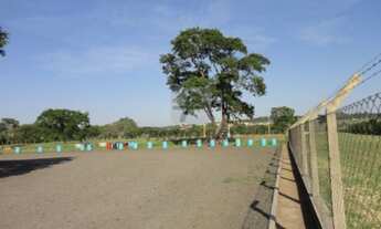 Imagem 4: BROTAS - Galpão/Depósito/Armazém - Zona Rural