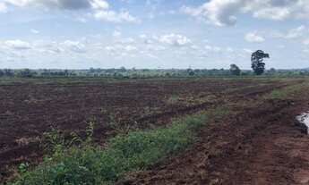 Imagem 3: Fazenda na região de Comodoro de Dupla aptidão