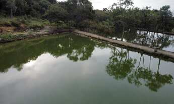 Imagem 6: Fazenda/Sítio/Chácara para venda tem 30000 metros quadrados com 4 quartos