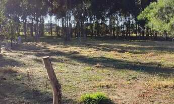 Imagem: Lindo terreno aproximadamente 900mts do