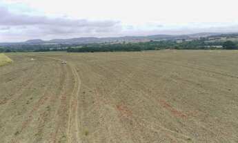 Imagem: 28 alqueires em Itapuranga-Go