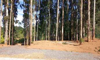 Imagem 5: Bela sítio com duas casa , vísta, rio, próximo de Gramado