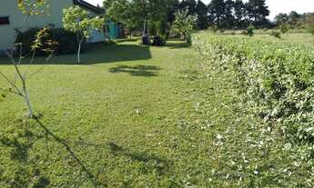 Imagem 4: Chácara 2 dormitórios à venda Pains Santa Maria/RS