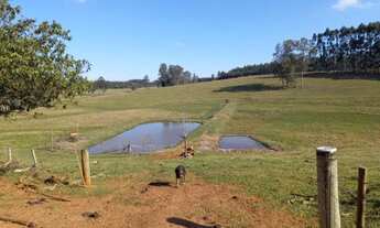 Imagem: 40 Hectares de terras, em Montenegro