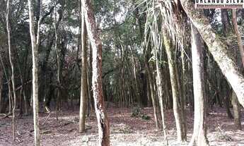 Imagem 4: 14min Piraquara/23min Centro S. José/27min Curitiba/Terreno/2.000m²/ R$181mil