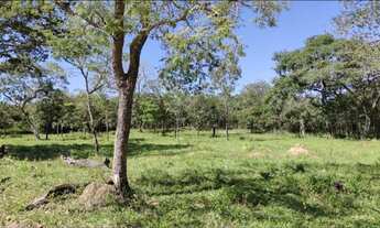 Imagem 1: Terreno em Pirenópolis