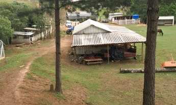 Imagem: Chácara a venda em Araucaria Roça velha