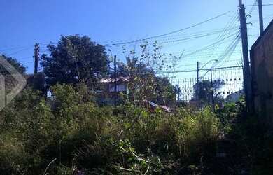 Imagem 6: PORTO ALEGRE - Terreno Padrão - Bom Jesus