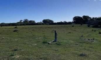 Imagem 4: Vendo Imóvel Rural com 162,5ha em Tavares/RS na Localidade de Capão Comprido