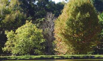 Imagem 6: Terreno à venda, 1050 m² por R$ 1.995.000,00 - Gramado - Gramado/RS