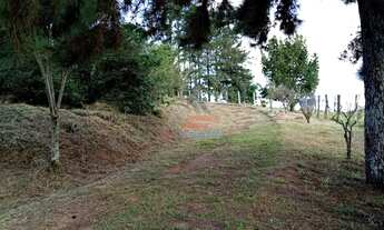 Imagem 5: VENDA, VARGEM SP, CHACARA 23MIL M², CASA, LAGO