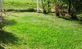 Imagem 6: Lindo sítio c/chalé em condomínio fechado, as margens da RS040