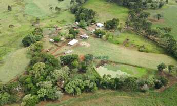 Imagem 2: Chácara à venda, 8 Alqueires por R$ 1.900.000,00 - Centro - Turvo/PR