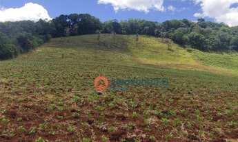Imagem 4: Chácara, 9.3 Alqueires à venda, por R$ 750.000,00. Candói - PR