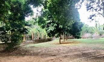 Imagem 6: Venda de chácara