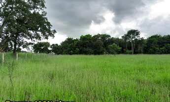 Imagem 6: Chácara as margens da Go-020 com água corrente!