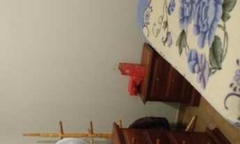 Imagem 4: Vendo casa de alvenaria