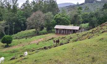 Imagem: Área de terra 10.00ha, lugar alto bela