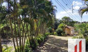 Imagem 6: CHACRA DENTRO DA CIDADE