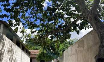 Imagem: Goiânia - Casa Padrão - Jardim da Luz