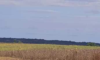 Imagem 2: Fazenda Pedro Afonso