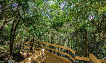 Imagem 6: Apartamento para Aluguel - Panamby, 1 Quarto, 33 m2