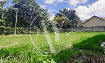 Imagem: Terreno - Nova Campinas - Campinas