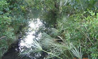 Imagem 6: Fazenda de 440 alqueires em Natividade-TO