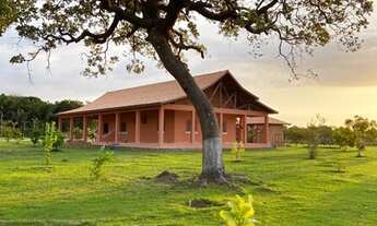 Imagem 2: Aluguel casa soure