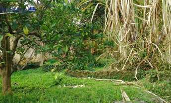 Imagem 2: Casa com 2 dormitórios, 250 m² - venda por R$ 1.340.000,00 ou aluguel por R$ 5.340,00/mês