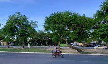 Imagem 5: Casa ou ponto para comércio