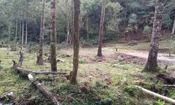 Imagem: Terreno Urubici 1825 metros quadrados