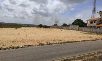 Imagem 2: Terreno Genipabu-Flora