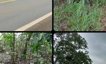 Imagem: Chácara as margens da Go-020 com água