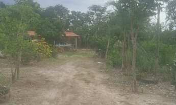 Imagem 4: TERRA 6.5 alqueires no FAINA