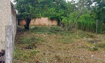 Imagem: Terreno em alter do chão 48 mil