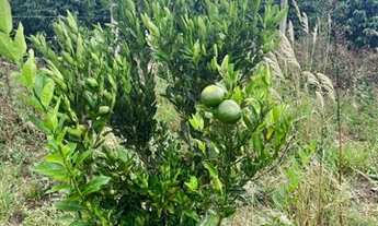 Imagem 5: Terreno no residencial Florença