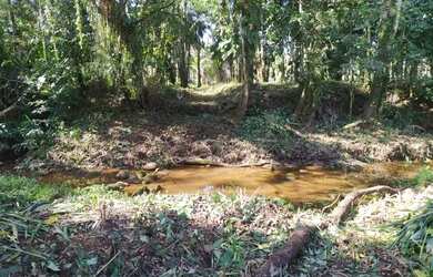 Imagem 3: Vendo Linda Área com Fundos para Rio Nhumdiaquara em Morretes