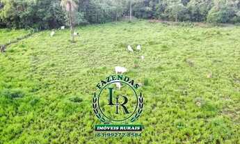 Imagem 2: Fazenda 29 Alqueires Região Aparecida Rio Negro