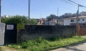 Imagem 4: Terreno perto metro vila sonia Declive 517 m2 20x 26