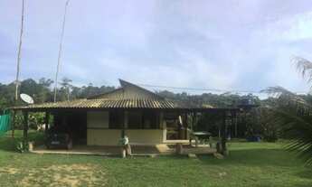 Imagem: Vendo Sitio na AM 010 km100