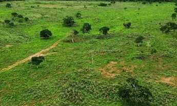 Imagem 5: Fazenda com dupla aptidão 41,5 alqueires, Planta em 21. Campinorte-GO