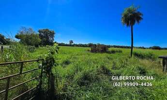 Imagem 4: Otima area comercial na beira do asfalto em Mozarlândia - GO