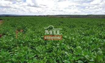 Imagem 6: Fazenda 103 Alqueires (500 Hectares) Doverlândia - GO