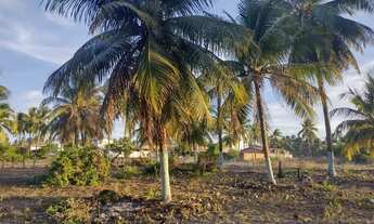 Imagem 2: Sítio Chácara com venda com preço sob consulta