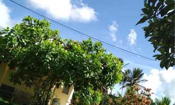 Imagem 7: Sítio em siriri